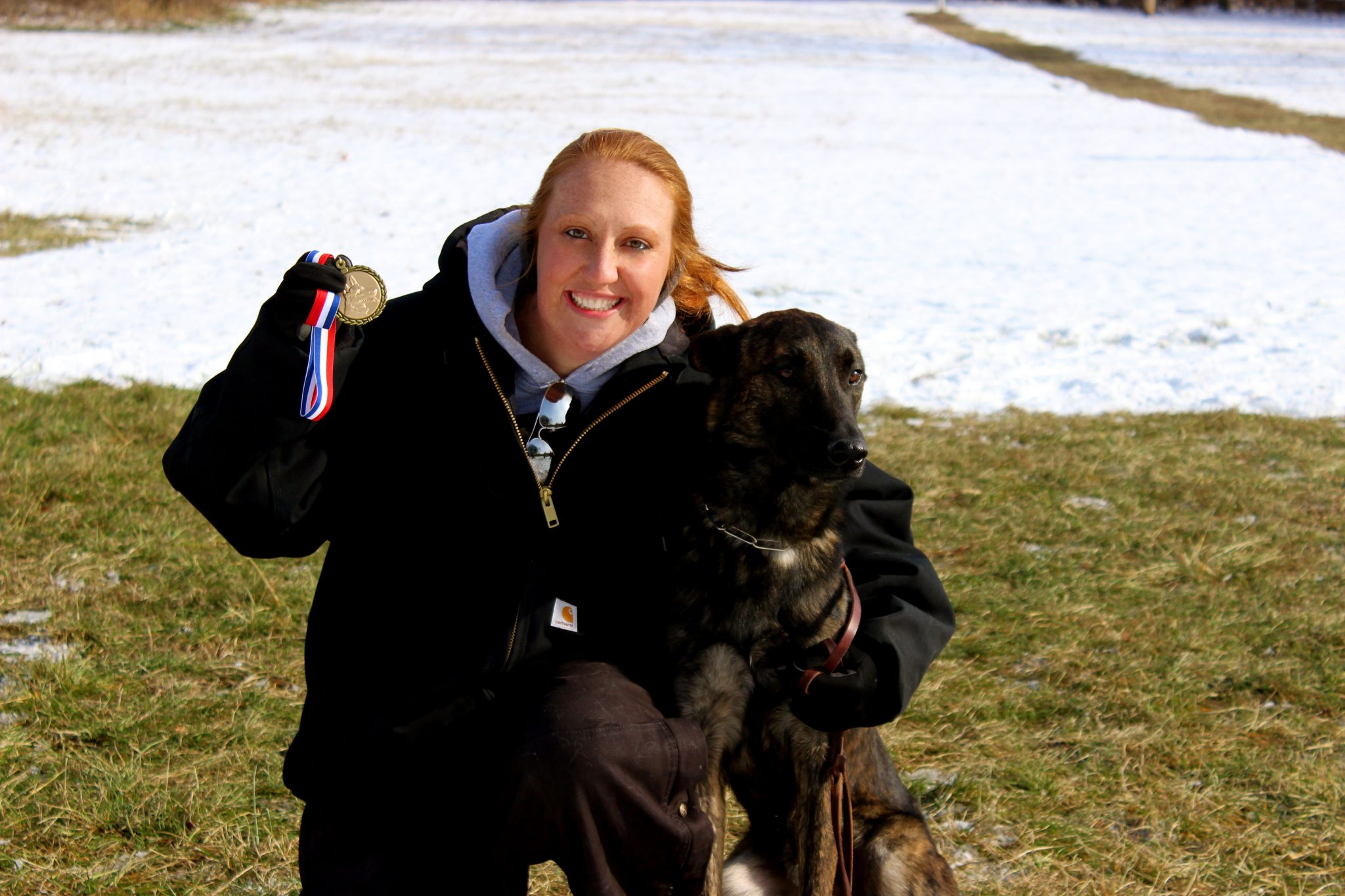 Better Dog Program Alpha Dog Training Center