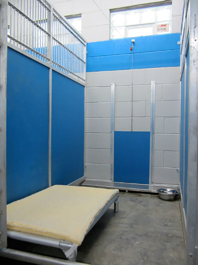 Boarding Alpha Dog Training Center